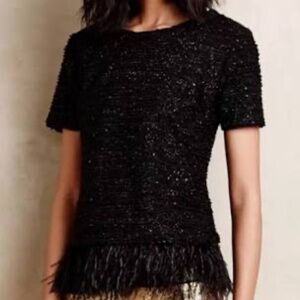 Deletta Feather Detail Blouse – Black Sheer Fancy Top